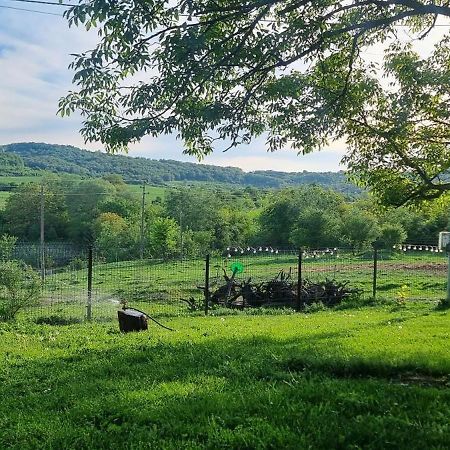 Вила "Намасте" С Панорамна Гледка И Камина На Дърва Ловеч Экстерьер фото